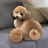 Đồ Chơi Cho Chó Banh Doggyman Hình Đuôi